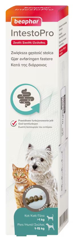 IntestoPro Pasta Hund/Katt