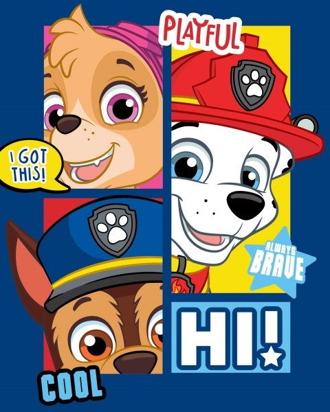 Barnfilt - Paw Patrol och hans valpkompisar - 100x140 cm - Mjuk fleecefilt - Borg Living