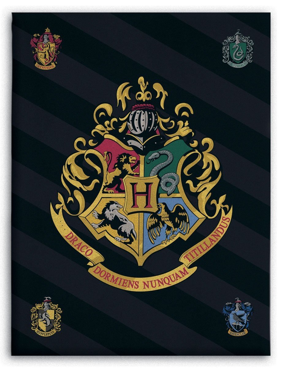 Barnfilt - Harry Potter - 100x140 cm - Mjuk och mysig fleecefilt - Borg Living