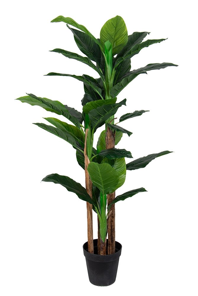 Konstgjord bananpalm - 2 meter hög - Stor och vacker med 3 stammar
